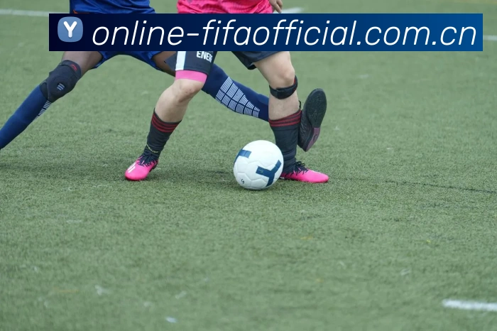FIFA官方竞猜数据授权